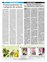 Suplemento 06-02-2011