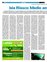 Suplemento 06-02-2011