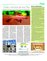 Suplemento 06-02-2016