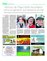 Suplemento 06-02-2016