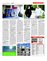 Suplemento 06-03-2016