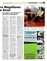 Suplemento 06-10-2013