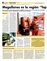 Suplemento 06-10-2013
