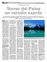 Suplemento 06-11-2011