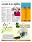 Suplemento 07-04-2012