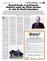 Suplemento 07-04-2013