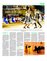 Suplemento 07-05-2016