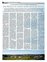 Suplemento 07-08-2011