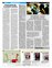 Suplemento 07-11-2010