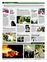 Suplemento 08-05-2011