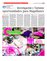Suplemento 08-05-2016
