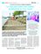 Suplemento 08-10-2016