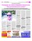 Suplemento 08-10-2016