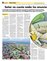 Suplemento 08-12-2013