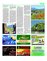Suplemento 09-01-2016