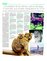 Suplemento 10-01-2015