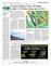 Suplemento 10-02-2016