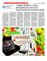 Suplemento 10-04-2016
