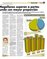 Suplemento 10-08-2014
