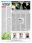 Suplemento 10-10-2010