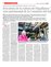 Suplemento 11-01-2015
