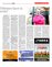 Suplemento 11-01-2015
