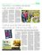 Suplemento 11-04-2015