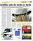 Suplemento 11-05-2014
