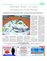 Suplemento 11-06-2016