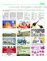 Suplemento 11-06-2016