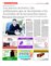 Suplemento 11-10-2015