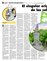 Suplemento 12-01-2014