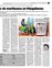 Suplemento 12-02-2012
