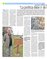 Suplemento 12-04-2014