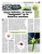 Suplemento 12-05-2013