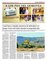 Suplemento 12-08-2015