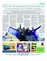 Suplemento 12-09-2015