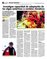 Suplemento 12-10-2014