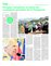 Suplemento 12-12-2015