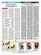 Suplemento 13-02-2011