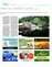 Suplemento 13-02-2016