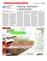 Suplemento 13-03-2016
