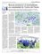Suplemento 13-04-2016