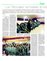 Suplemento 13-06-2015