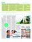 Suplemento 13-06-2015