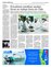 Suplemento 13-07-2016