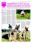 Suplemento 13-11-2010