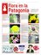Suplemento 13-11-2010