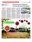 Suplemento 13-12-2015