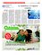 Suplemento 14-02-2016